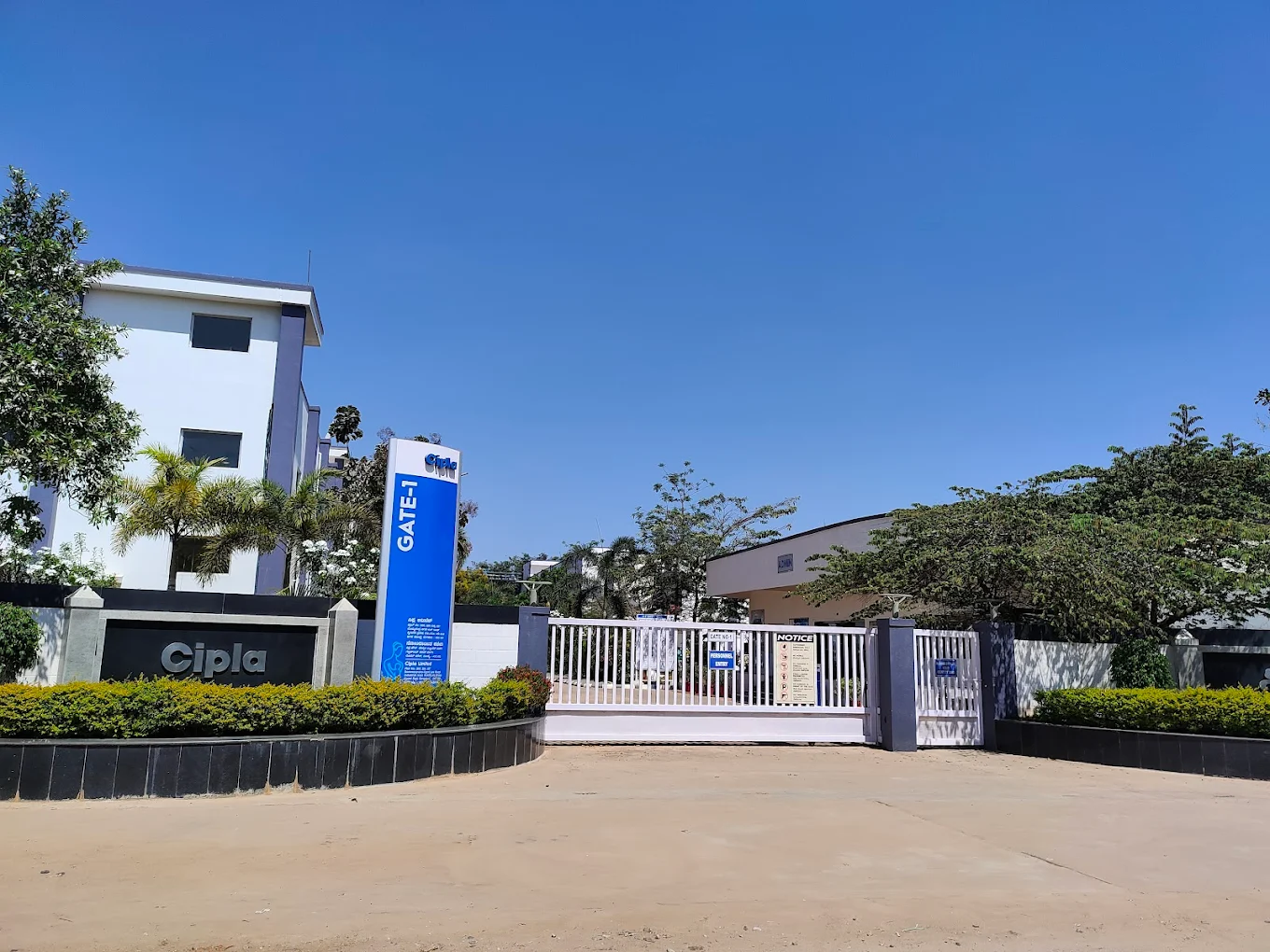 cipla