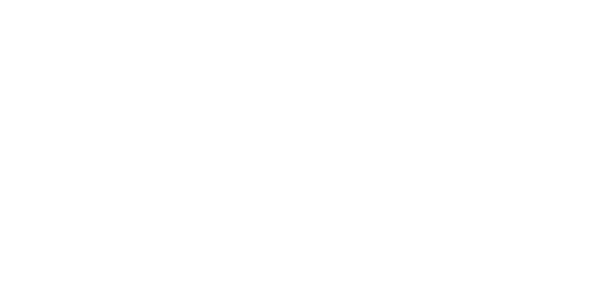 Item 20
